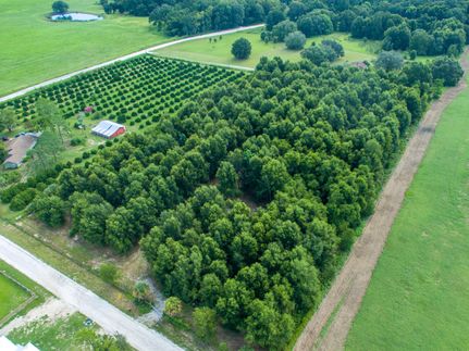 Farm Property in Pasco County, Florida