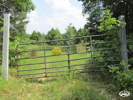 Timberland Property in Breckinridge County, Kentucky