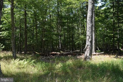 Residential Property in Pendleton County, West Virginia