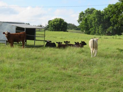 Property in Garvin County, Oklahoma