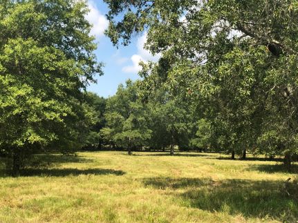 Commercial Property in Leon County, Texas