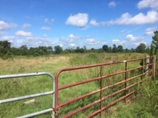 Residential Property in Union Parish, Louisiana