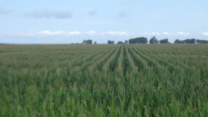 Farm Property in Gosper County, Nebraska