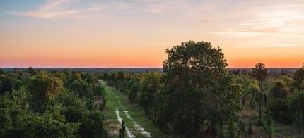 Recreational Property in Candler County, Georgia