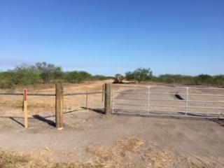 Undeveloped Land in Jim Wells County, Texas