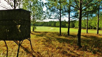 Property in Twiggs County, Georgia