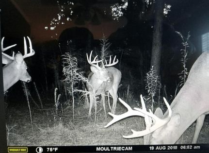 Property in Peach County, Georgia