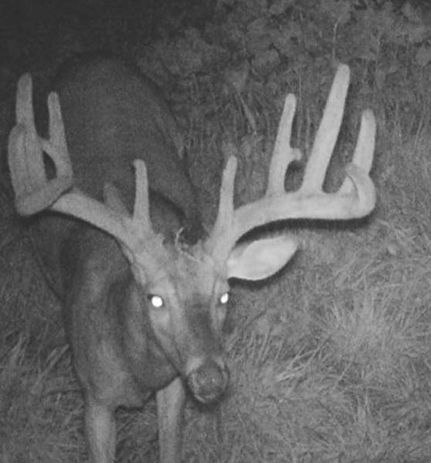 Property in Crawford County, Georgia