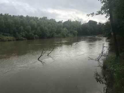 Property in Wilcox County, Georgia