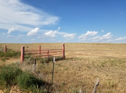 Ranch Property in Parmer County, Texas