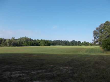Timberland Property in Lapeer County, Michigan