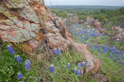 Farm Property in Llano County, Texas