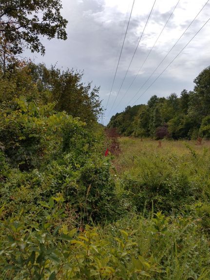 Recreational Property in Moore County, North Carolina