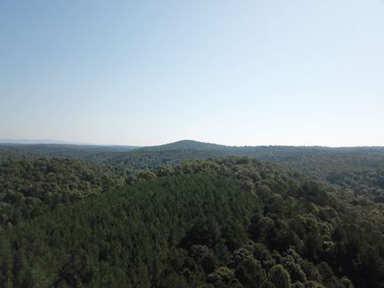 Property in Habersham County, Georgia