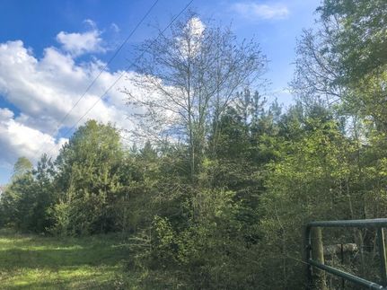 Farm Property in Cherokee County, Texas