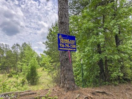 Residential Property in Tyler County, Texas