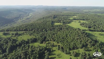 Hunting Land in Stone County, Arkansas