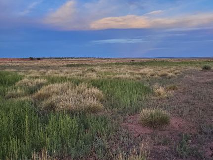 Ranch Property in Apache County, Arizona