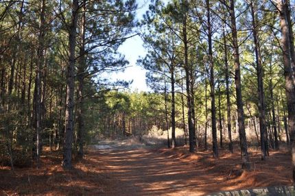 Recreational Property in Walker County, Texas