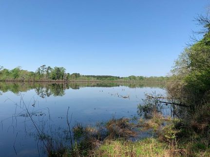 Undeveloped Land in Cherokee County, Texas