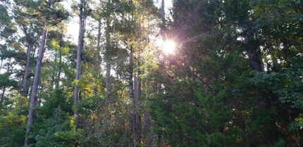 Recreational Property in Cass County, Texas