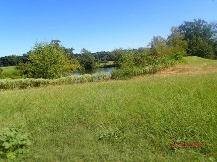 Farm Property in Camp County, Texas