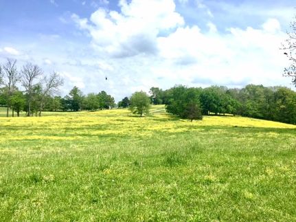 Timberland Property in Adair County, Kentucky
