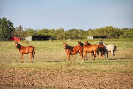 Ranch Property in Clay County, Texas