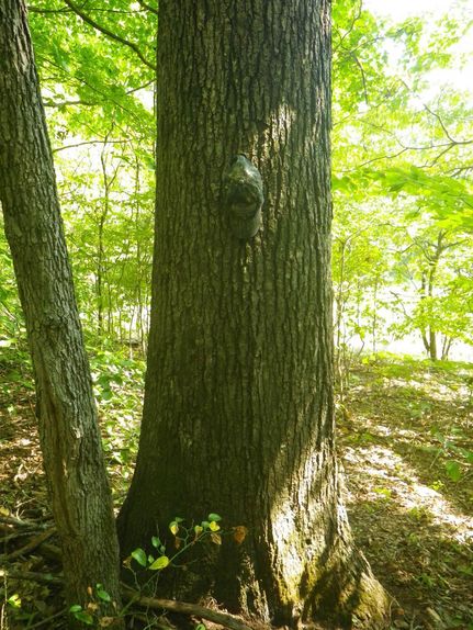 Property in Taylor County, Kentucky