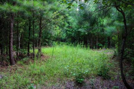 Recreational Property in Orangeburg County, South Carolina