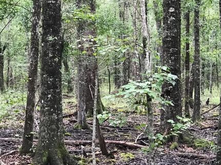 Property in Laurens County, Georgia