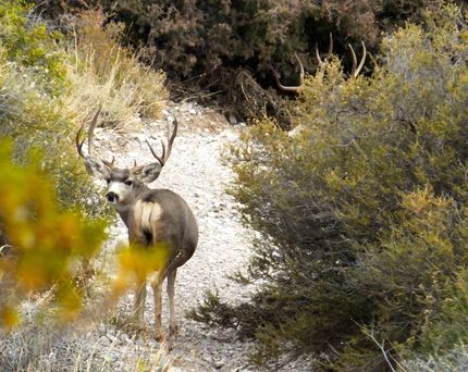 Property in Sierra County, New Mexico