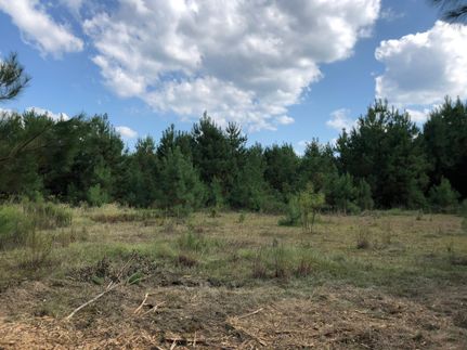 Horse Property in Forrest County, Mississippi
