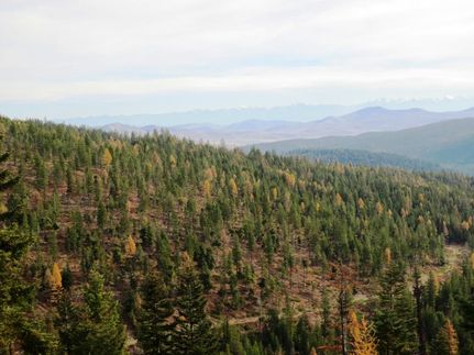 Commercial Property in Sanders County, Montana