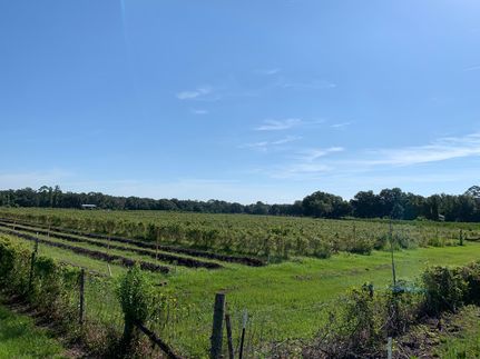 Farm Property in Sumter County, Florida