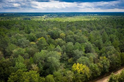 Farm Property in Houston County, Texas