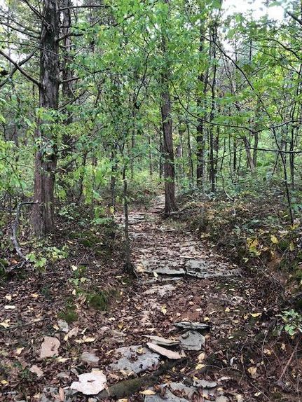 Undeveloped Land in Warren County, Kentucky