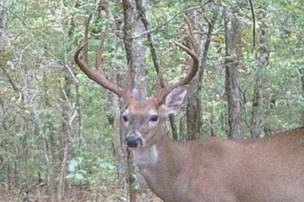 Property in Coal County, Oklahoma