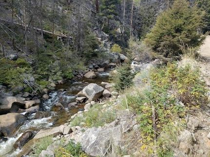 Timberland Property in Lassen County, California