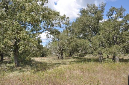 Timberland Property in Gonzales County, Texas