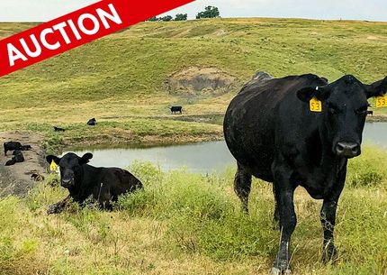 Property in Ellis County, Kansas