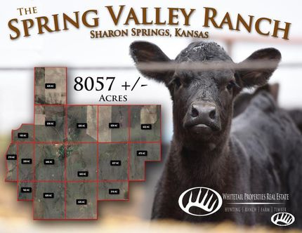 Property in Wallace County, Kansas