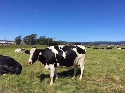 Property in Humboldt County, California