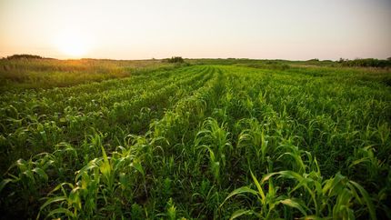 Farm Property in Shawnee County, Kansas