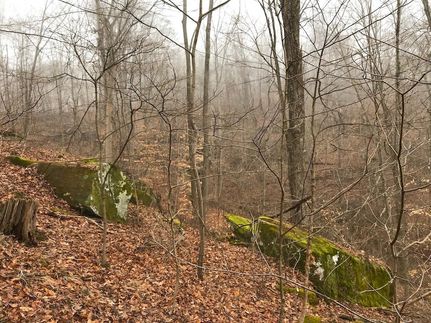 Farm Property in Athens County, Ohio