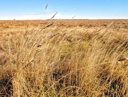 Farm Property in Hyde County, South Dakota