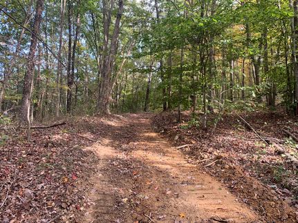 Timberland Property in Scioto County, Ohio