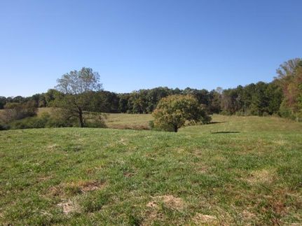 Timberland Property in Pickens County, Georgia
