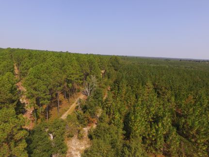 Ranch Property in Webster County, Georgia