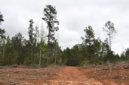 Residential Property in Houston County, Texas